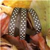 Order  Autumn Leaves Ribbon - Dots Tuftan/Cream